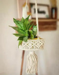 Macrame Plant Hanger with Decorative Tassels, Cotton Rope Hanging Planter, Cream White
