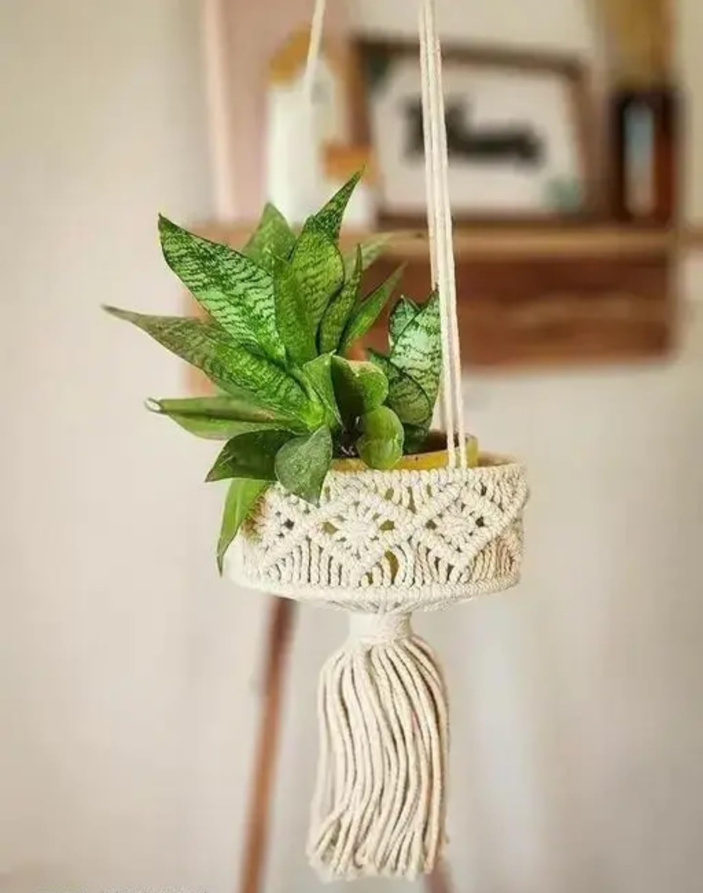 Macrame Plant Hanger with Decorative Tassels, Cotton Rope Hanging Planter, Cream White