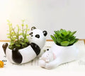 Ceramic Panda Planter Pot Set, White and Black, Succulent Plant Container with Drainage, Decorative Animal Design for Indoor Plants