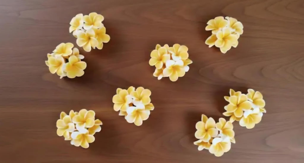 Plumeria Flower Candle, Yellow and White, Frangipani Floral Design, Set of 6