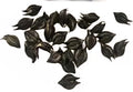 Tamrans seed, tamras seed
