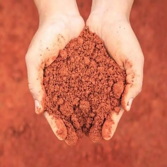 Red soil for succulent and plants, laterite soil