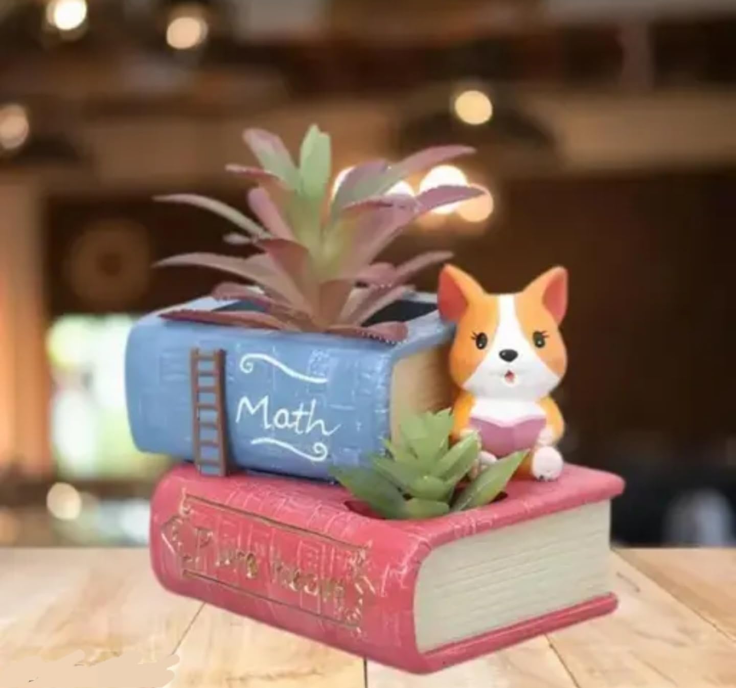 Decorative Succulent Planter with Cat Figurine, Book-Shaped Desk Organizer, Pink and Blue Math Book Design, Indoor Plant Holder