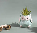 Ceramic Owl Succulent Planter, Mint Green, Indoor Plant Pot, Decorative Garden Container for Small Plants