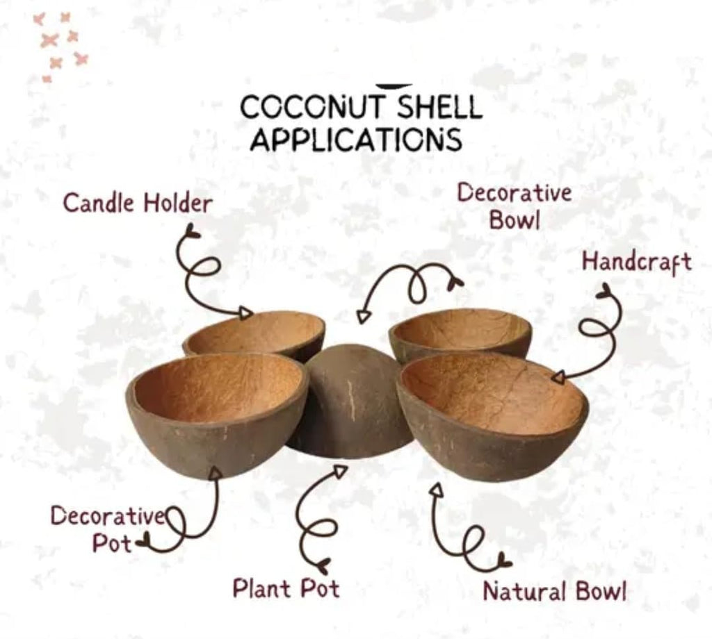Natural Coconut Shell Slices, Handcrafted, Organic Material, Stacked Disc Set with Dome Top