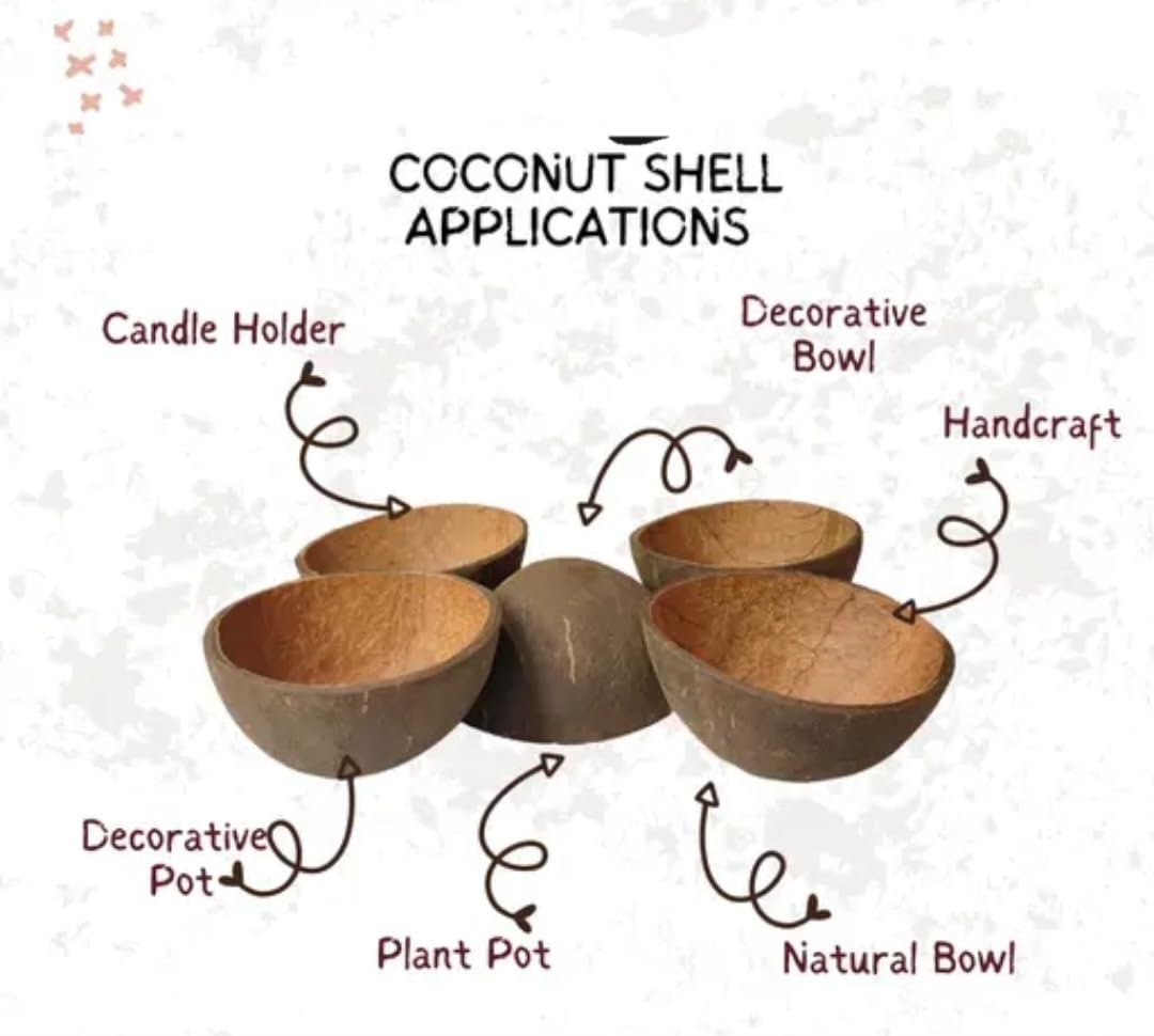 Natural Coconut Shell Slices, Handcrafted, Organic Material, Stacked Disc Set with Dome Top