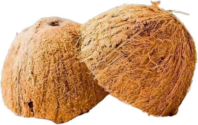 art and craft kit, for basket making Coconut shell for basket making, home decor and crafting