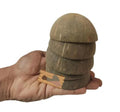 Natural Coconut Shell Slices, Handcrafted, Organic Material, Stacked Disc Set with Dome Top