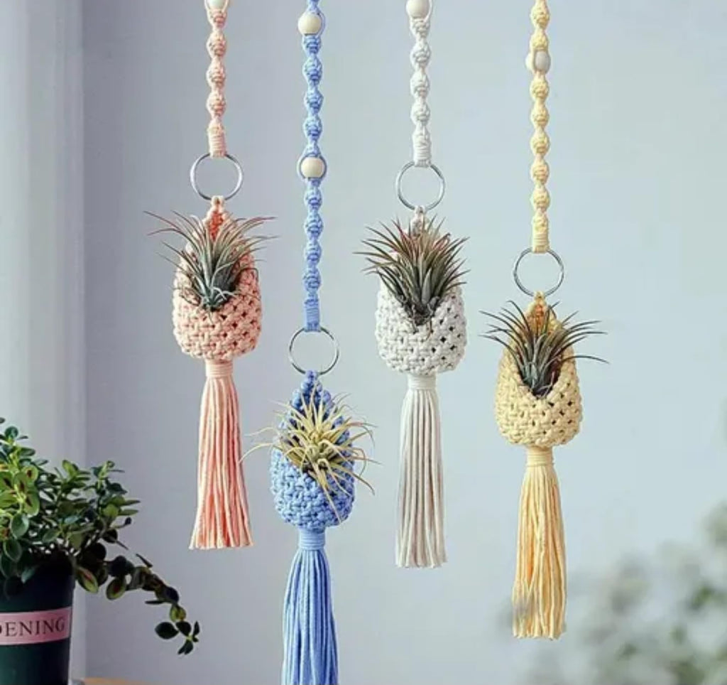 Macrame Air Plant Hangers, Decorative Hanging Planters with Tassels, Set of 4, Pink Blue Yellow White