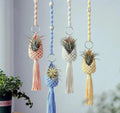 Macrame Air Plant Hangers, Decorative Hanging Planters with Tassels, Set of 4, Pink Blue Yellow White