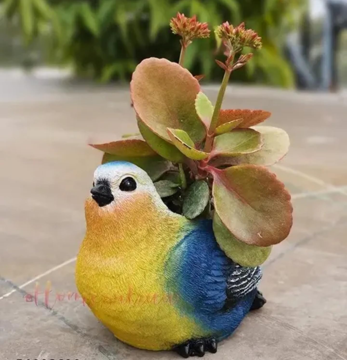 Decorative Bird Planter, Yellow and Blue Parrot Design, Resin Succulent Plant Holder, Indoor Garden Decor