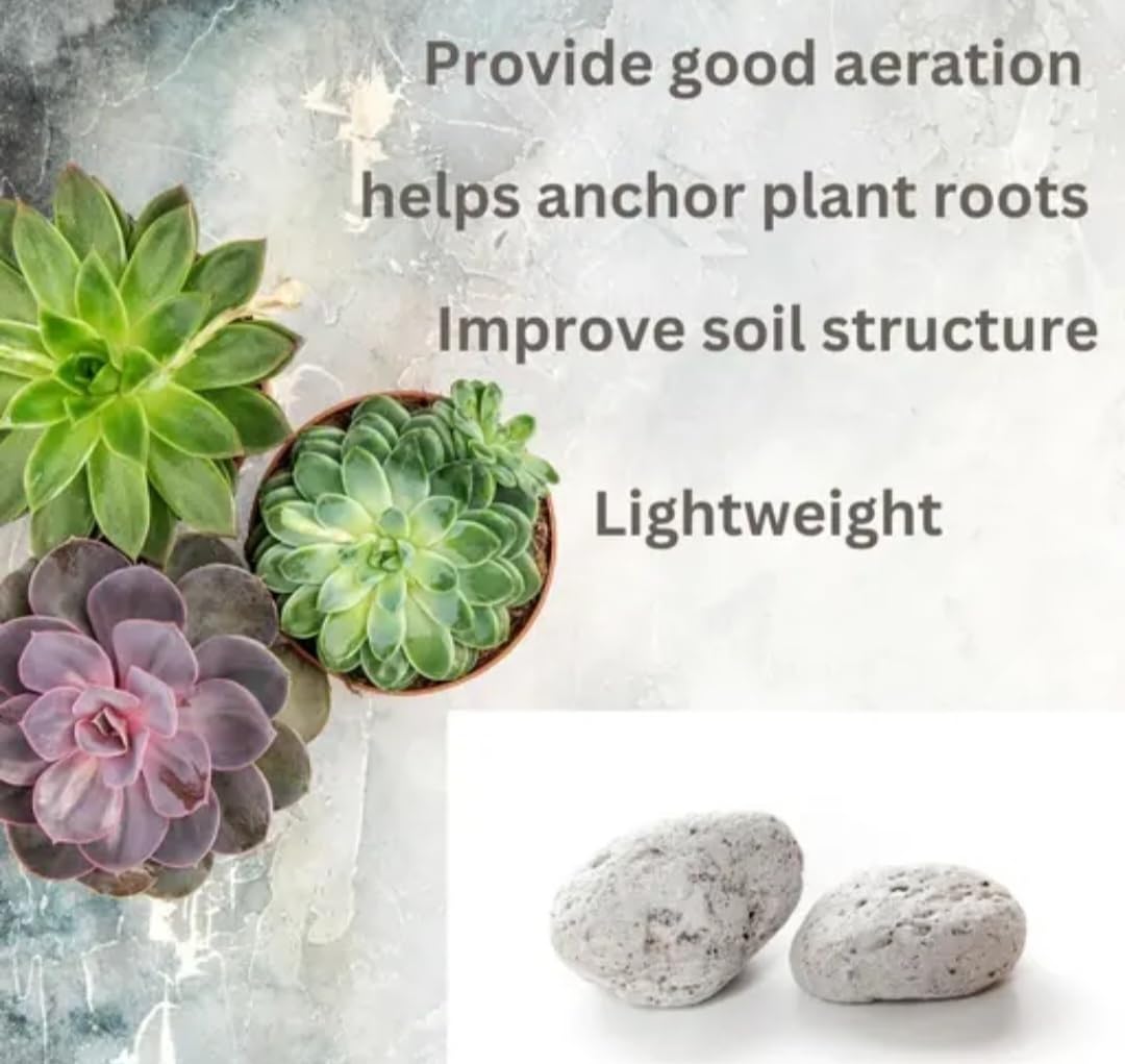 Lightweight Pumice Stones for Succulents, Improve Soil Structure, Aeration, Anchors Plant Roots