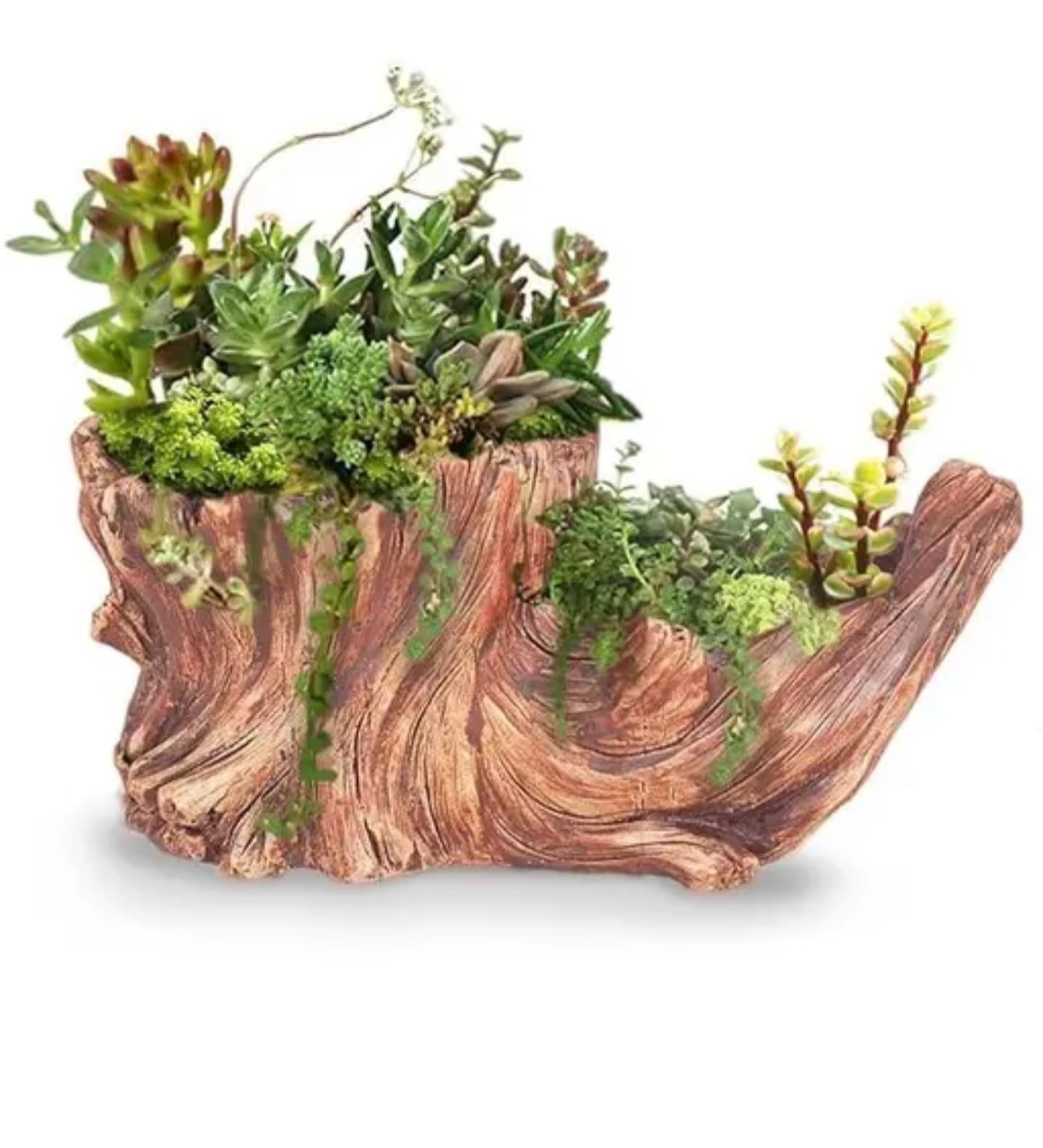 Rustic Driftwood Succulent Planter, Natural Wood Look Container, Indoor Garden Decor